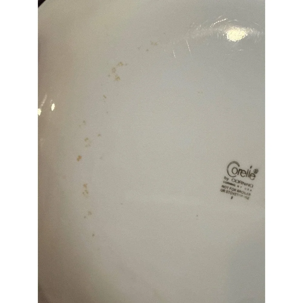Corelle Autumn Harvest Dinner Plate 8.5 Inch Wheat Berries White Vitrelle Glass
